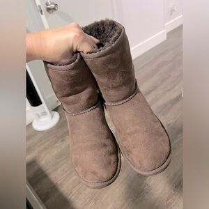 Brown Uggs (Classic Short)